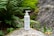 A bottle of skincare gel by Plantea is placed outdoors on a mossy rock. Surrounding the bottle, there are lush green ferns and small plants, contributing to a natural and organic aesthetic. The setting includes additional rocks, enhancing the earthy environment.