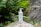 A white bottle of skincare product with a pump top is placed on a mossy rock surrounded by lush green ferns and leafy plants. The background consists of natural stone surfaces, creating a serene and earthy atmosphere.