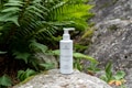 A white bottle of skincare product with a pump top is placed on a mossy rock surrounded by lush green ferns and leafy plants. The background consists of natural stone surfaces, creating a serene and earthy atmosphere.