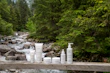 array of natural skin and body care products with fresh botanical elements