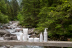array of natural skin and body care products with fresh botanical elements