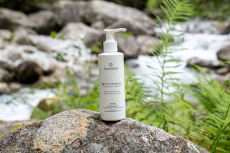 A bottle of beauty product labeled 'PLANTIDEA' is placed on a large rock surrounded by lush green ferns and a flowing stream in the background. The scene is set in a natural, outdoor environment, emphasizing a connection with nature.