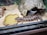 A lizard is resting next to a water dish inside a glass enclosure. The enclosure contains wood shavings, a small shelter resembling a cave, and faux rock structures.