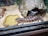 A lizard is resting next to a water dish inside a glass enclosure. The enclosure contains wood shavings, a small shelter resembling a cave, and faux rock structures.