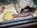 A lizard is resting next to a water dish inside a glass enclosure. The enclosure contains wood shavings, a small shelter resembling a cave, and faux rock structures.