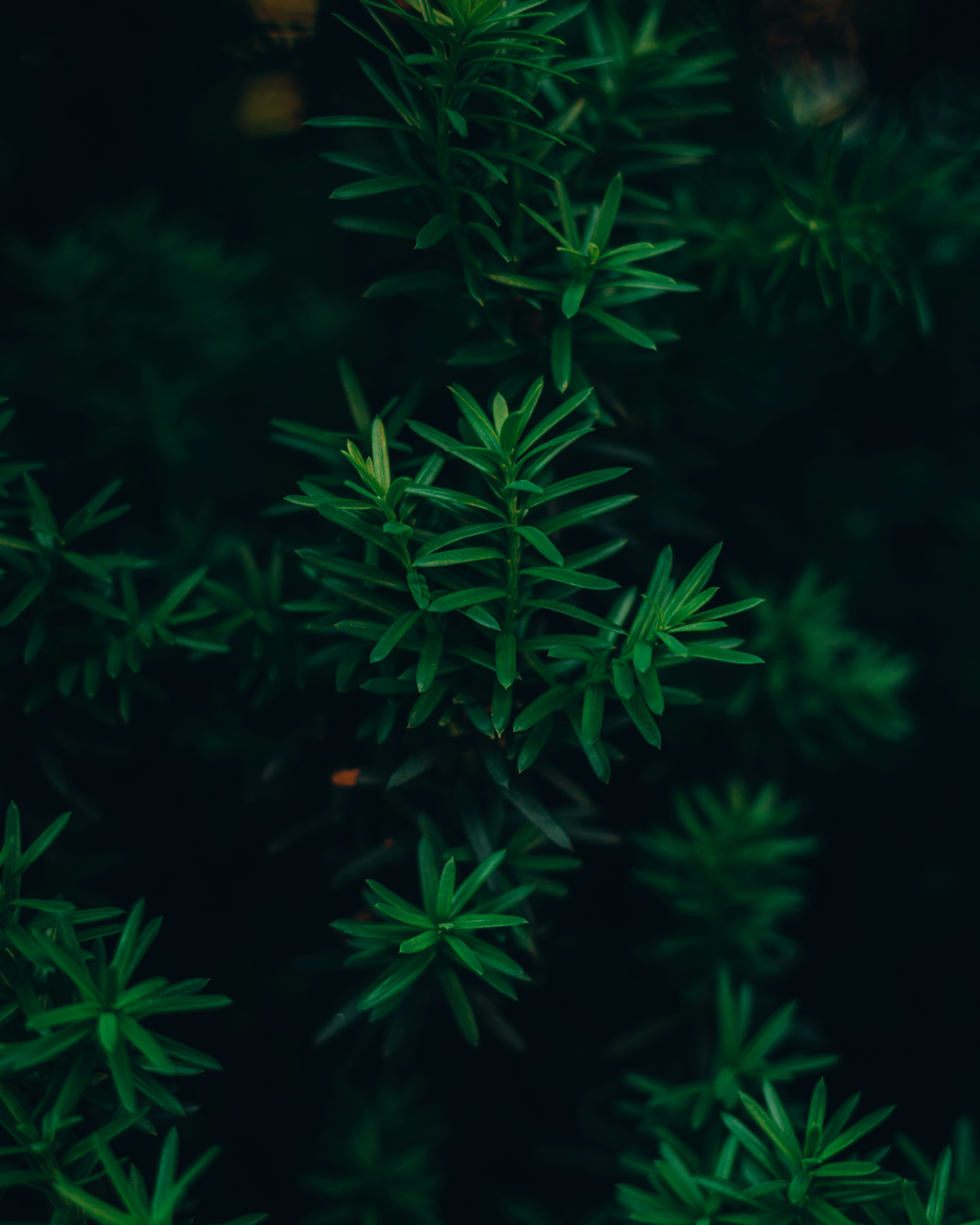 photo-1688728590224-344cff4a0991?ixid=M3