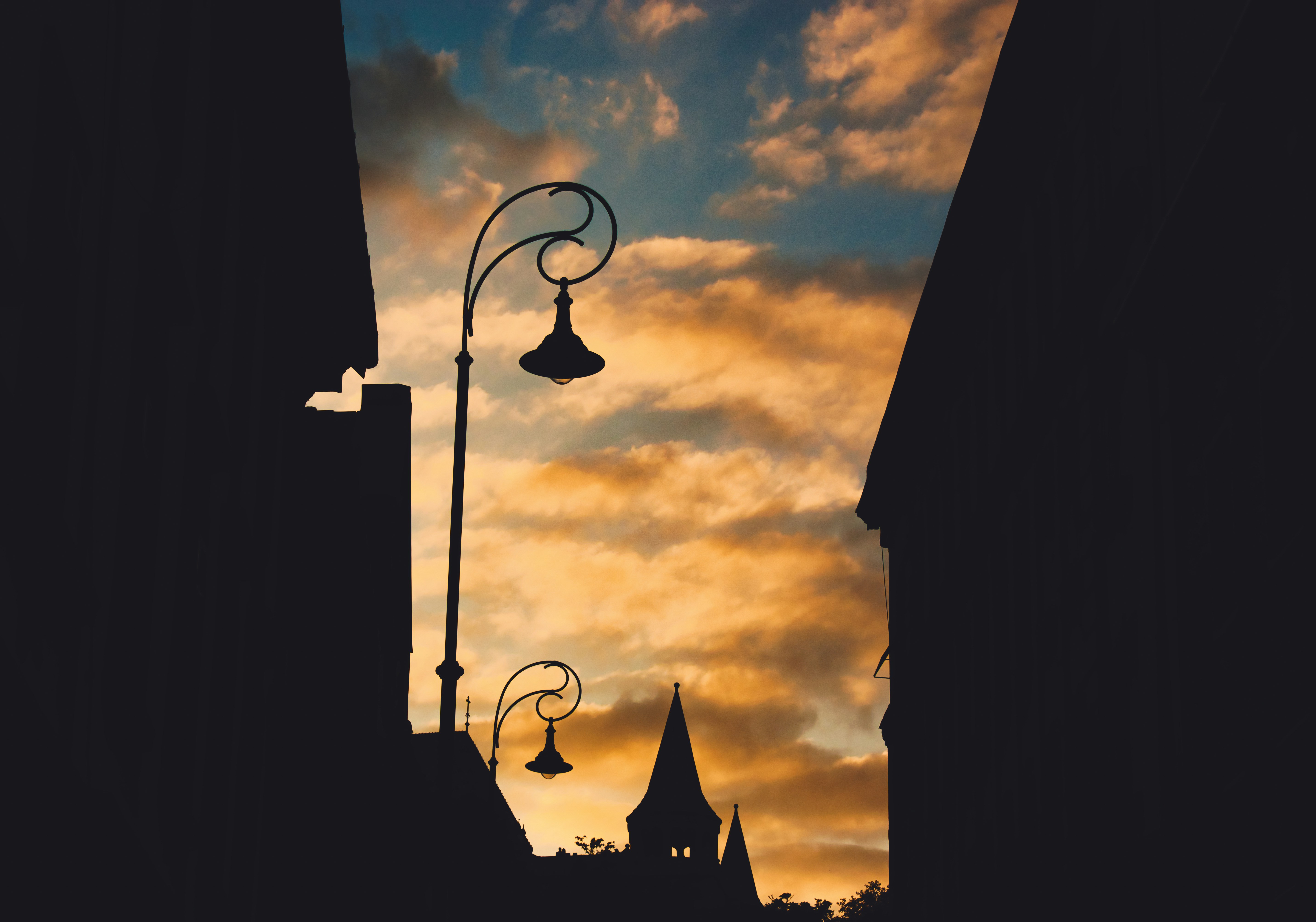 Photo by niki_emmert