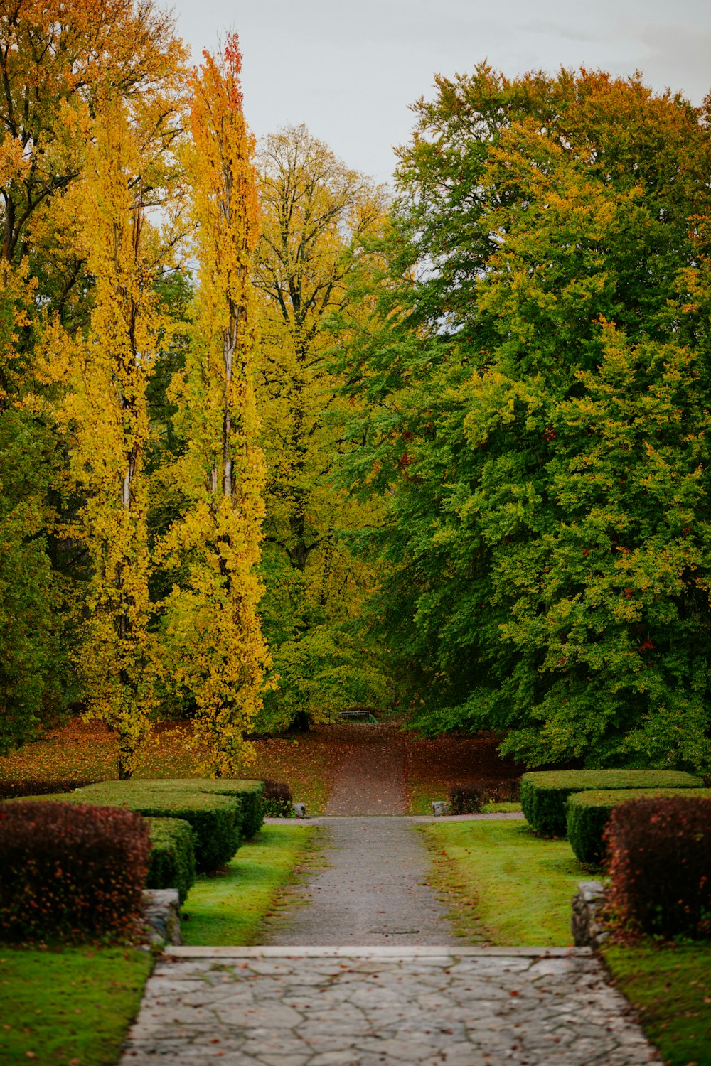 a stone path leading through a lush green forest