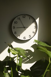 a clock on a wall next to a potted plant
