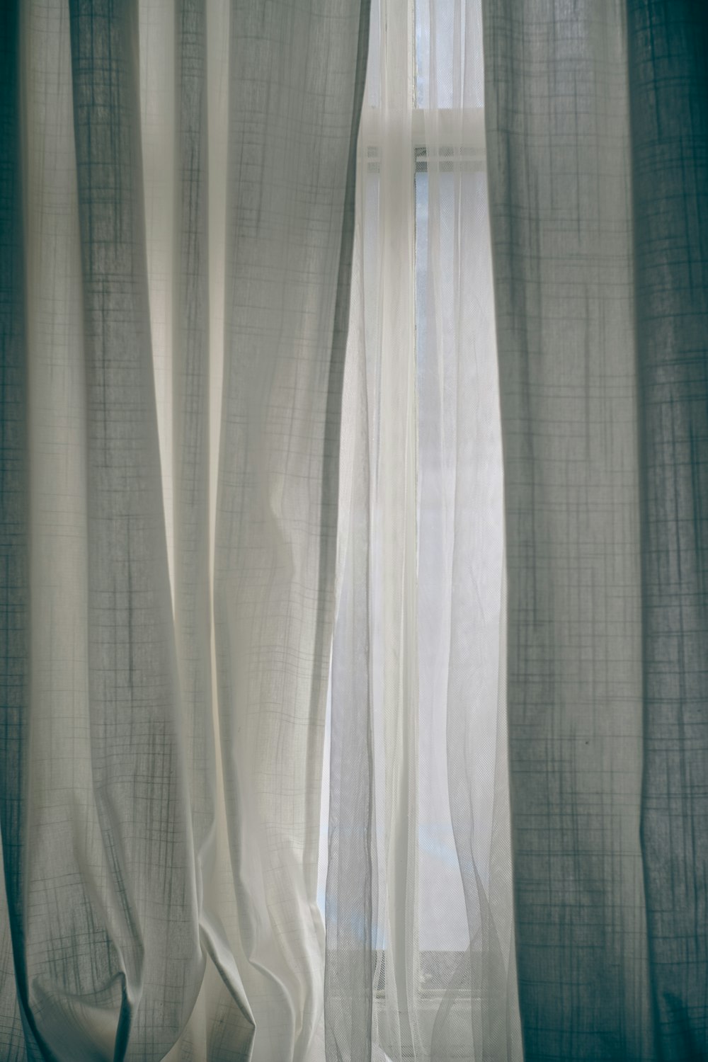 a cat sitting on a window sill in front of a curtain