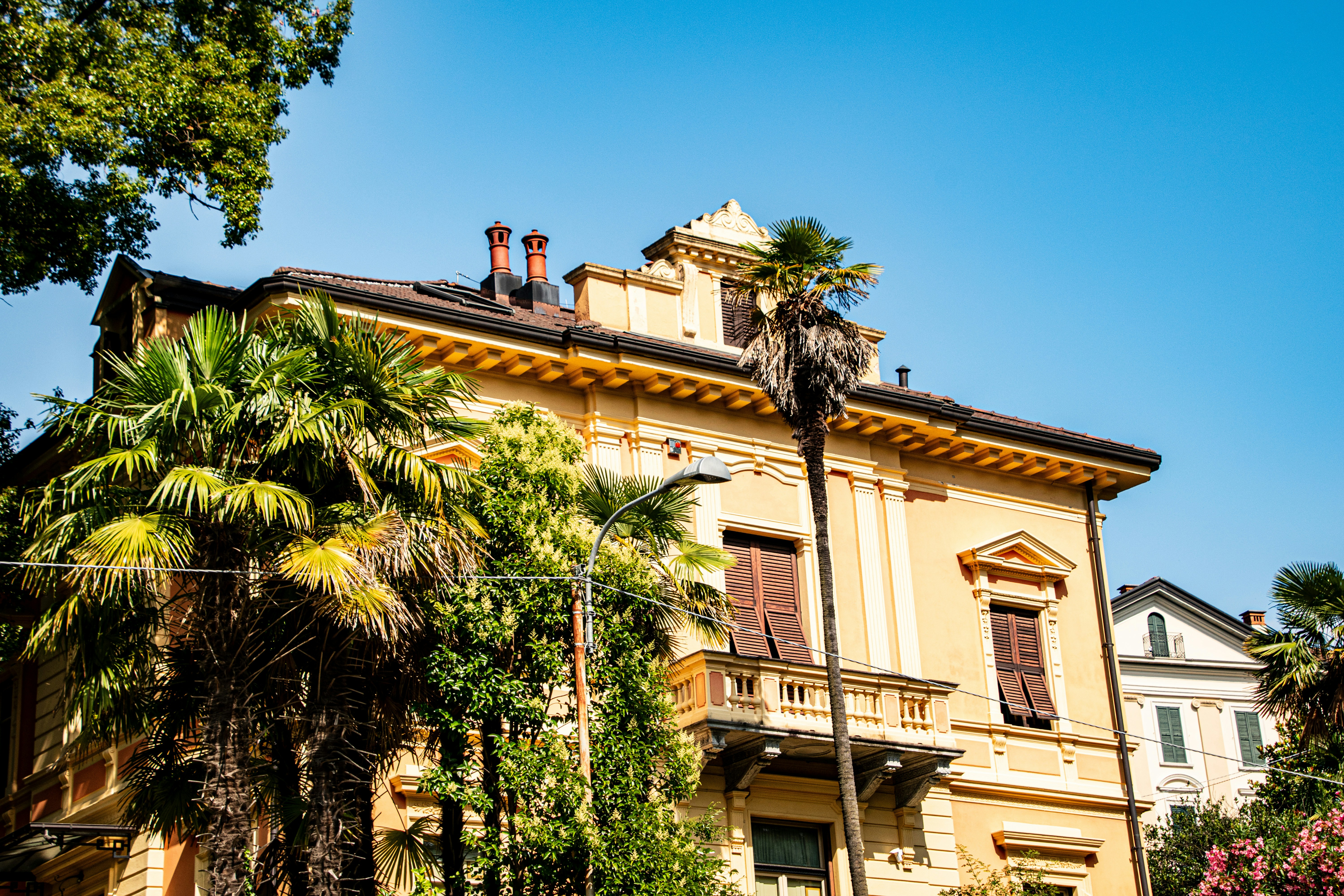 a large building with palm trees in front of it, 