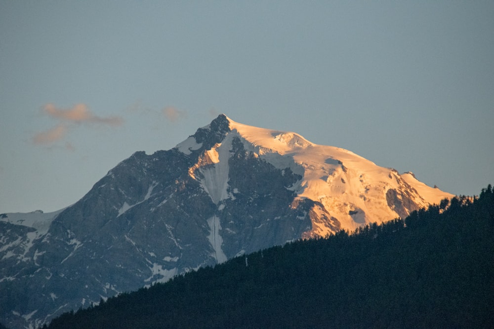 a snow covered mountain with trees in the foreground