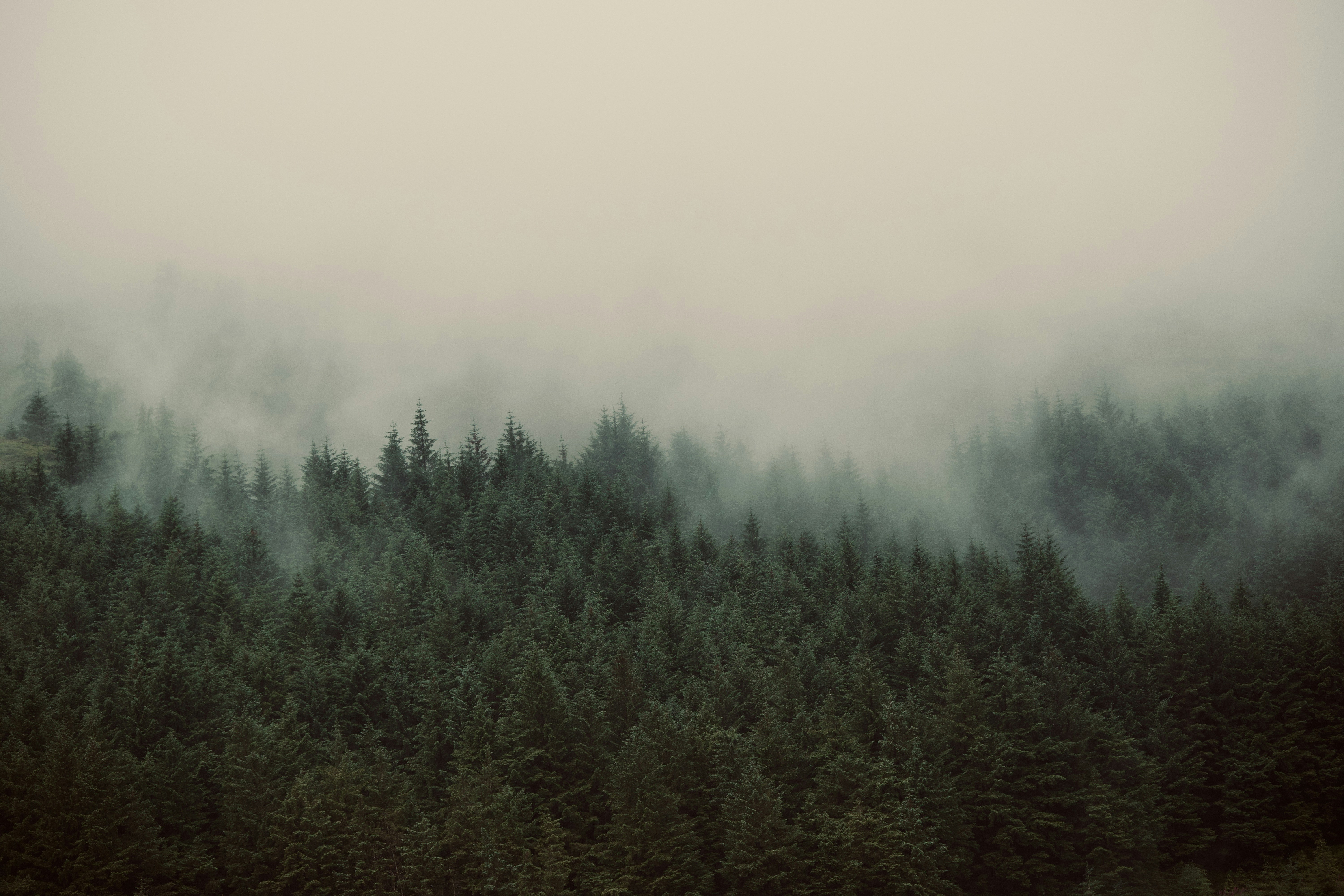 RI#184 - Your LifeOS/Track your health/Cryptgeon