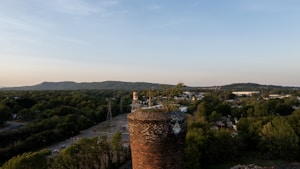 A brick chimney rises from a densely wooded area with distant hills under a clear sky. Small plants grow from the top of the chimney. A town with roads and scattered buildings is visible, with green trees prominent in the landscape.
