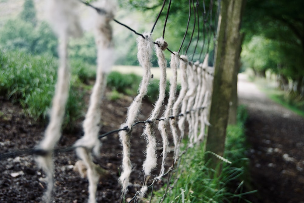 a close up of a chain link fence