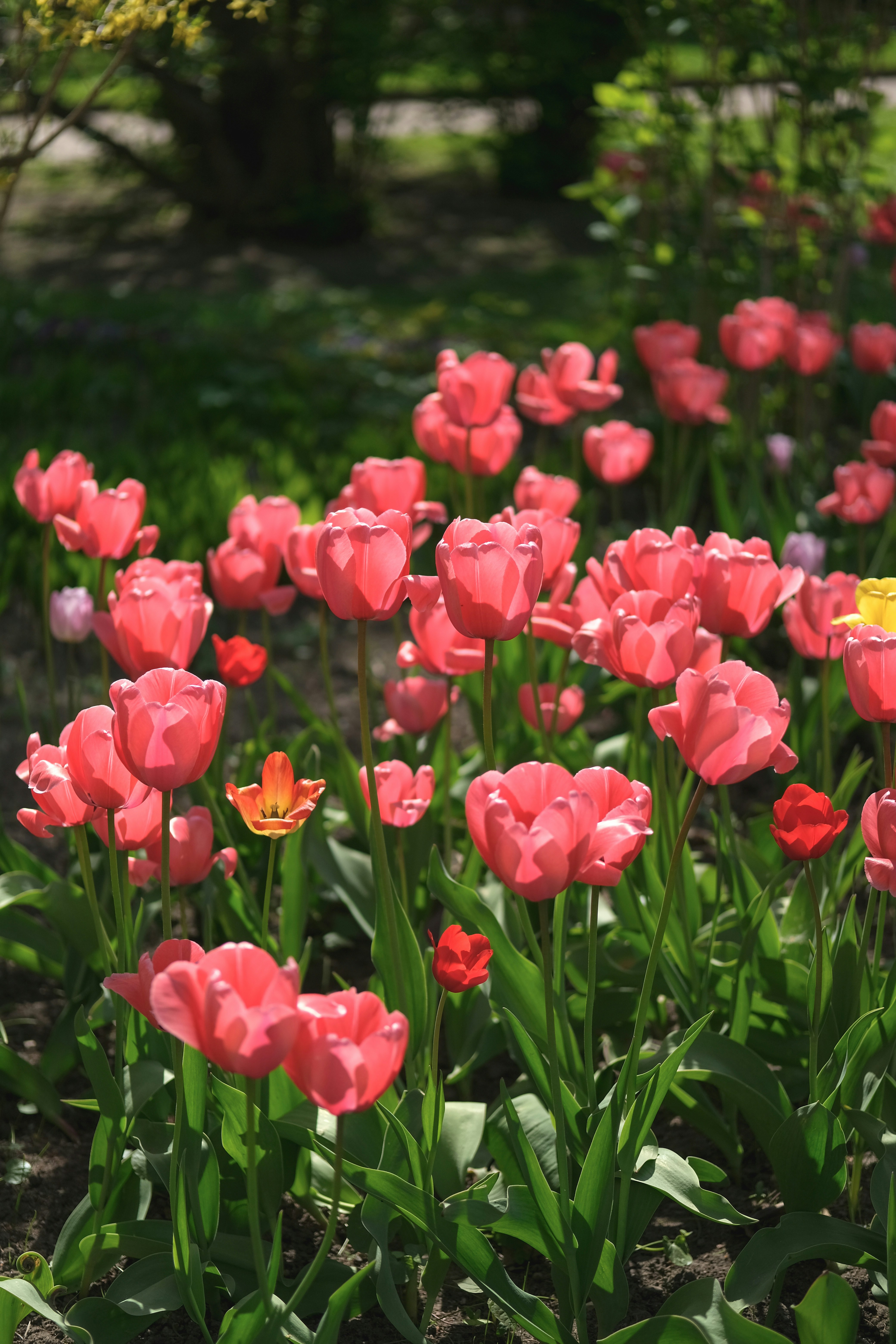 Photo by rolig_basseng