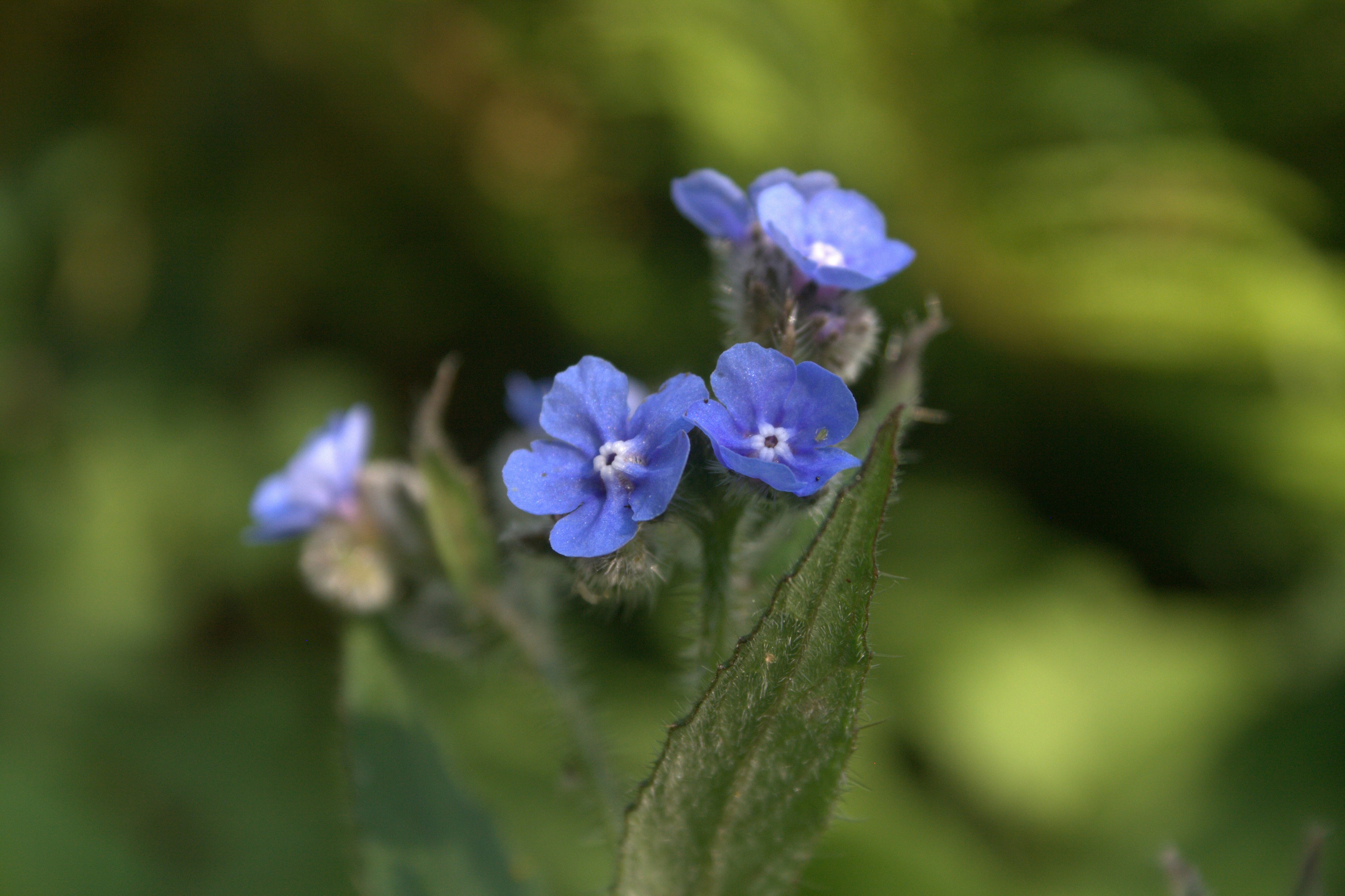 Photo by james_buxton