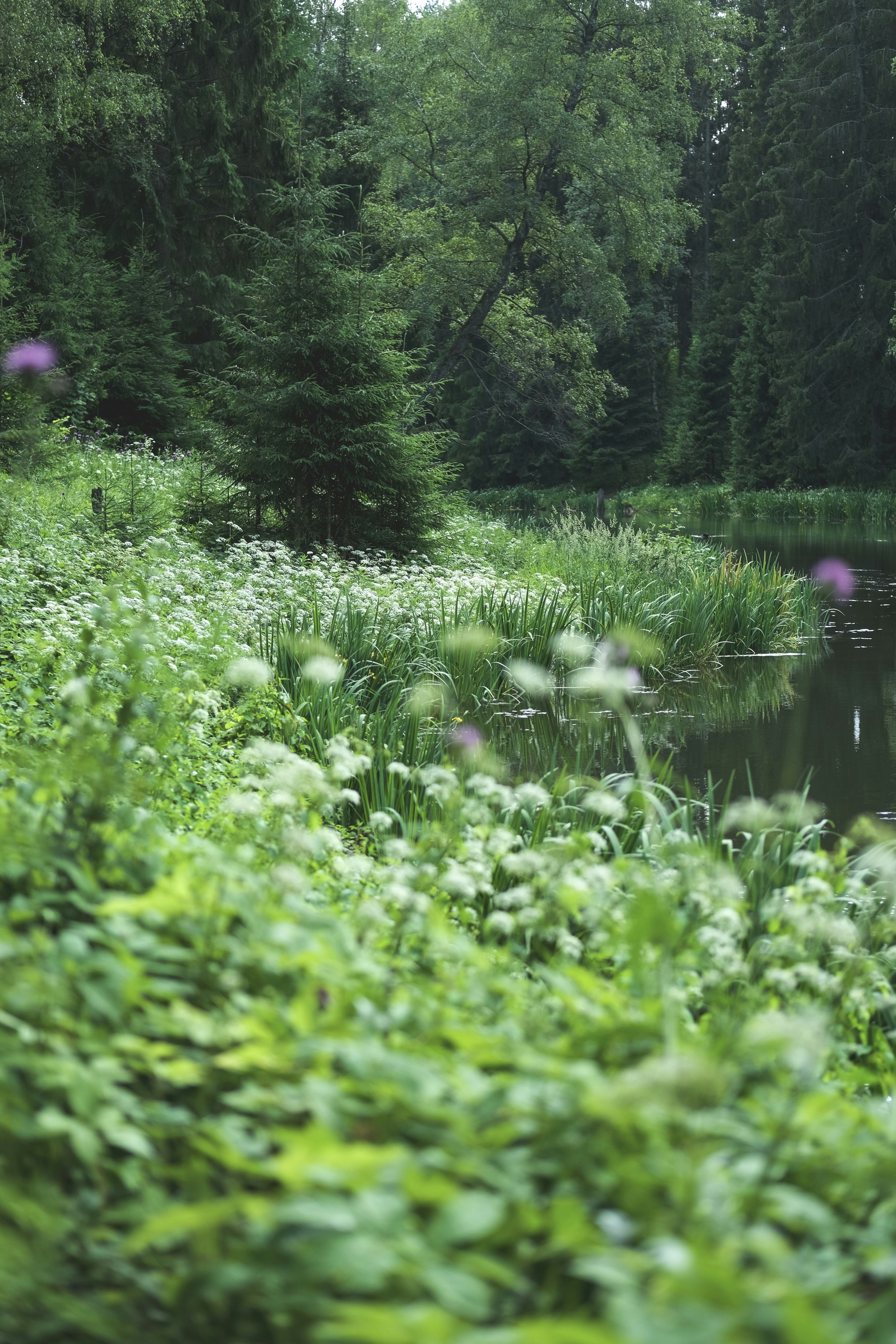 Photo by rolig_basseng