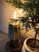 Rustic lamp casting a gentle glow over a bedside table with a small potted plant.