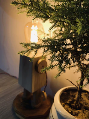 Rustic lamp casting a gentle glow over a bedside table with a small potted plant.