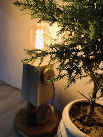 A handcrafted wooden lamp glowing warmly on a rustic wooden table surrounded by green plants.