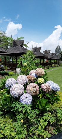 a bunch of flowers that are in the grass