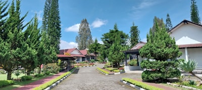 A scenic view of a residential area with trees.