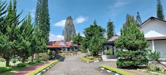 A scenic view of a residential area with well-maintained gardens and various types of trees lining a paved pathway. The houses have sloped roofs and are surrounded by vibrant greenery under a clear blue sky.