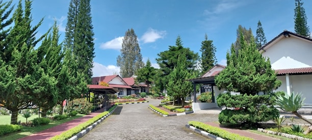 A scenic view of a residential area with well-maintained gardens and various types of trees lining a paved pathway. The houses have sloped roofs and are surrounded by vibrant greenery under a clear blue sky.