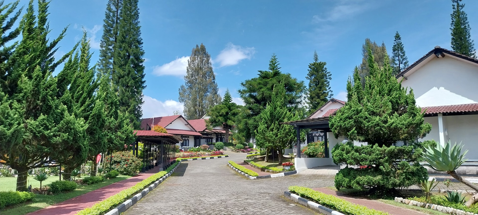 woman wearing yellow long-sleeved dress under white clouds and blue sky during daytime