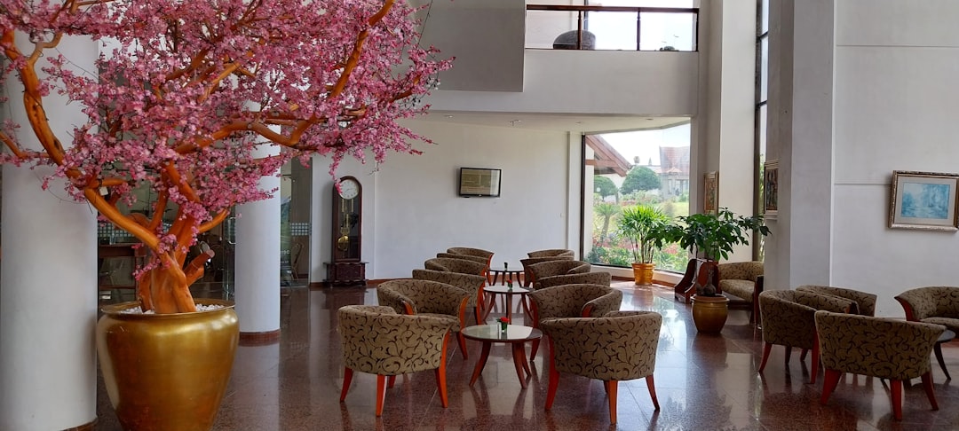 a room with chairs and a tree in it, The lobby of Hotel Sinabung Hills Berastagi
