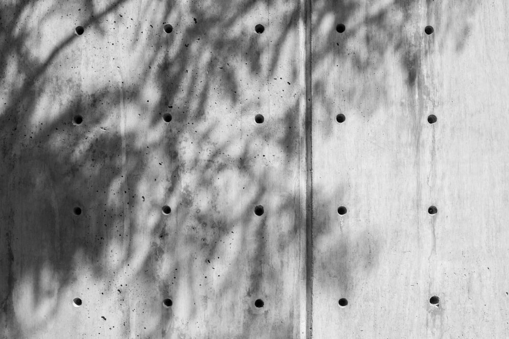a tree casts a shadow on a concrete wall