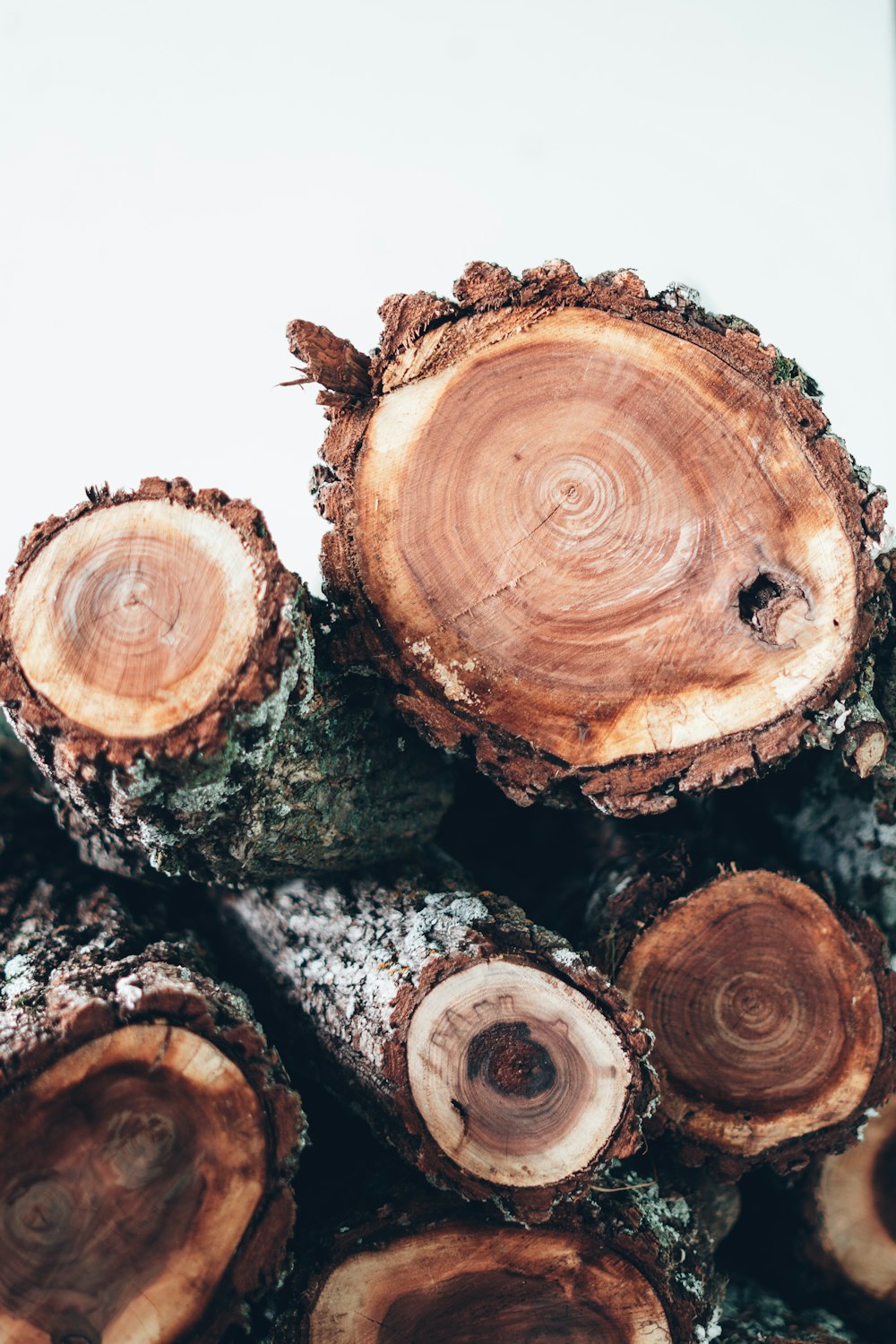 a pile of cut logs sitting next to each other