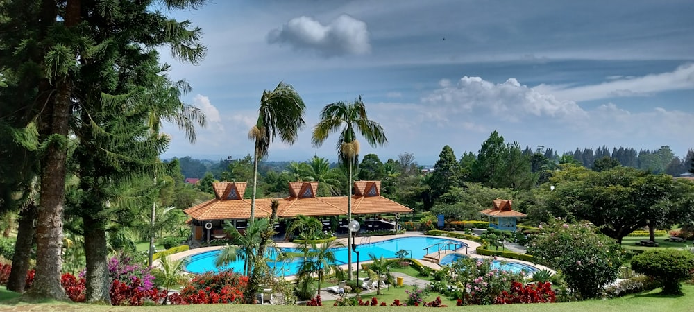 a resort with a pool surrounded by palm trees