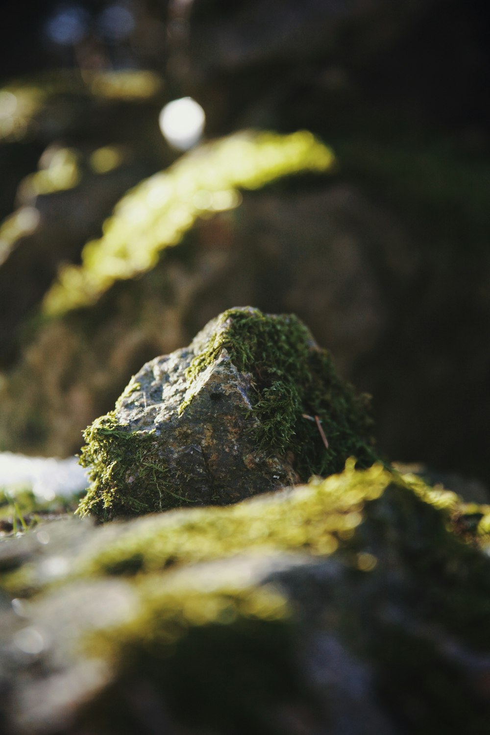 a moss covered rock in the middle of a stream