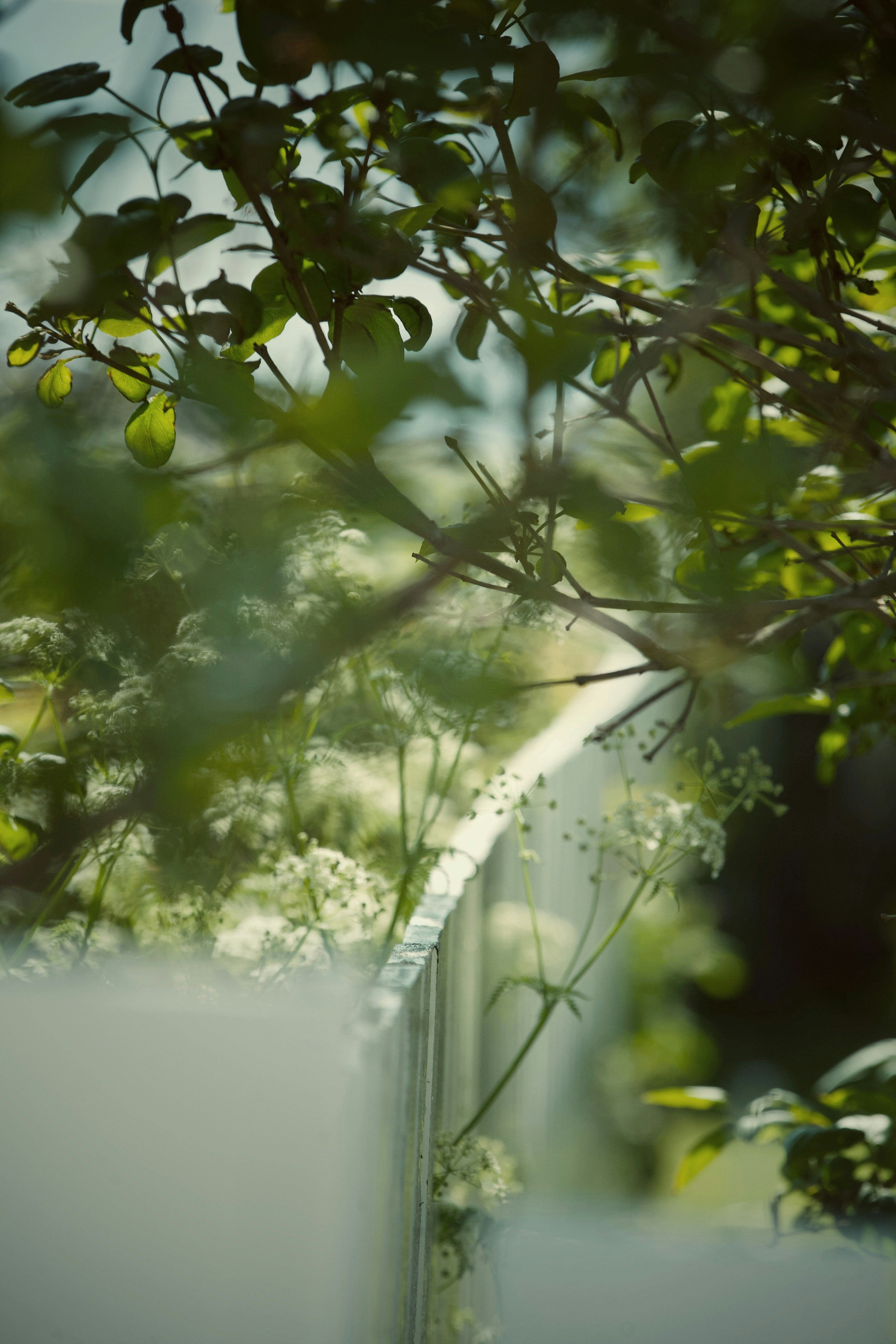 Photo by kristinokarlsen