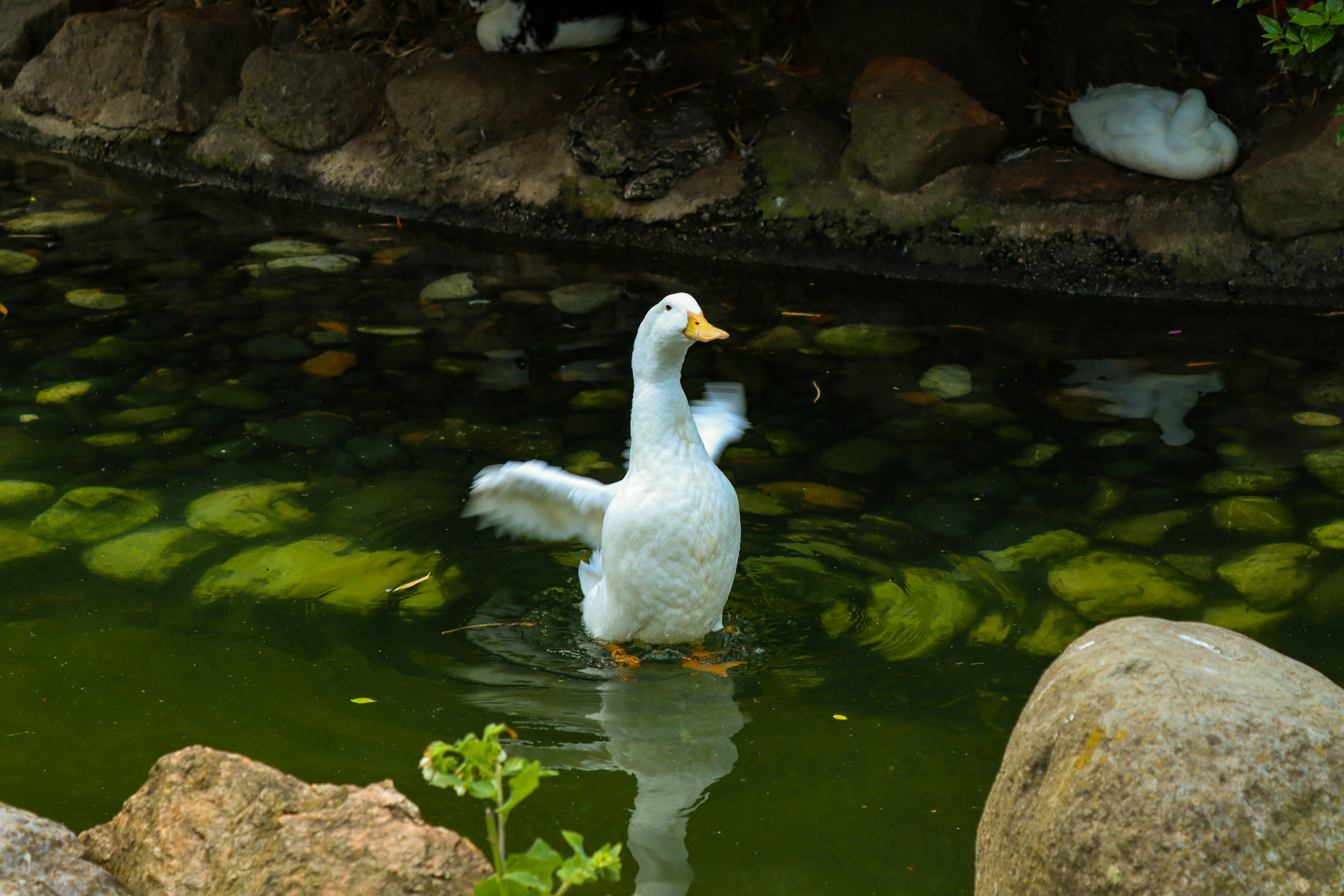 Photo by munevverikbal