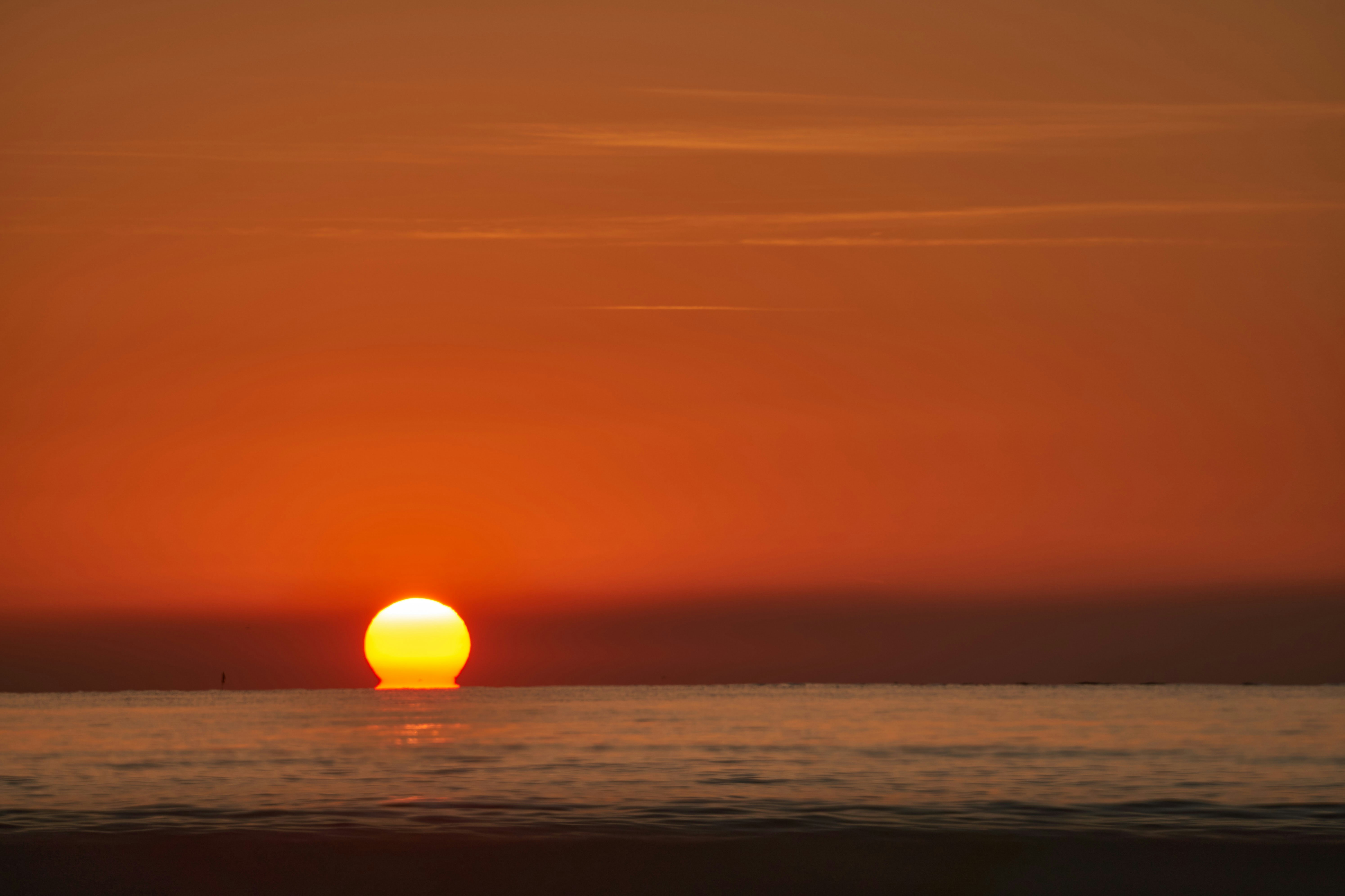 Photo by wolfgang_hasselmann