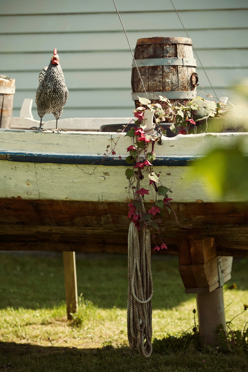 a chicken sitting on top of a wooden boat