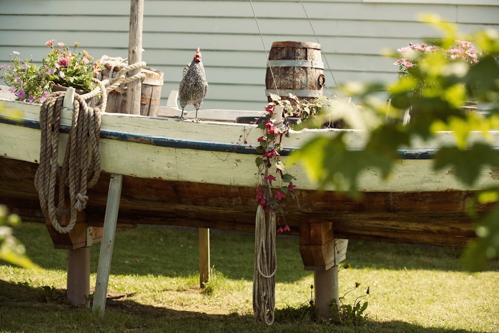 a bird sitting on top of a boat in the grass