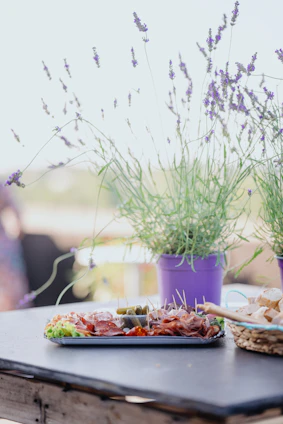 A sleek food cart serving beautifully arranged charcuterie boards and hot dishes at a sunny Calgary event.