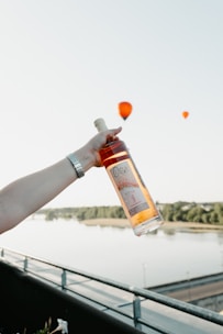 A hand holding a bottle of rosé wine is prominently displayed against a serene background of a river and distant trees. Three hot air balloons, two in the air and one closer to the water, are visible in the sky.
