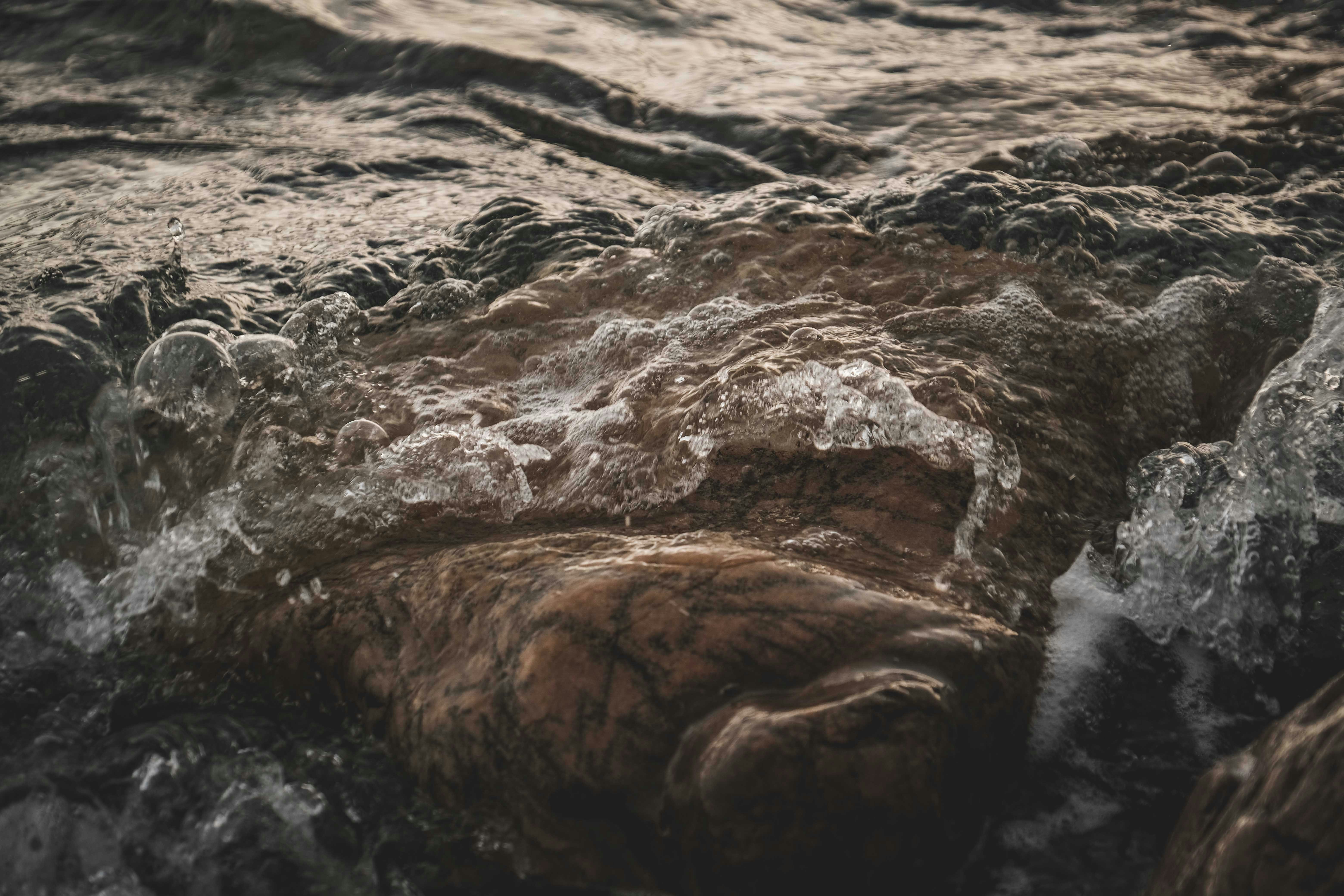 Photo by francesco_ungaro