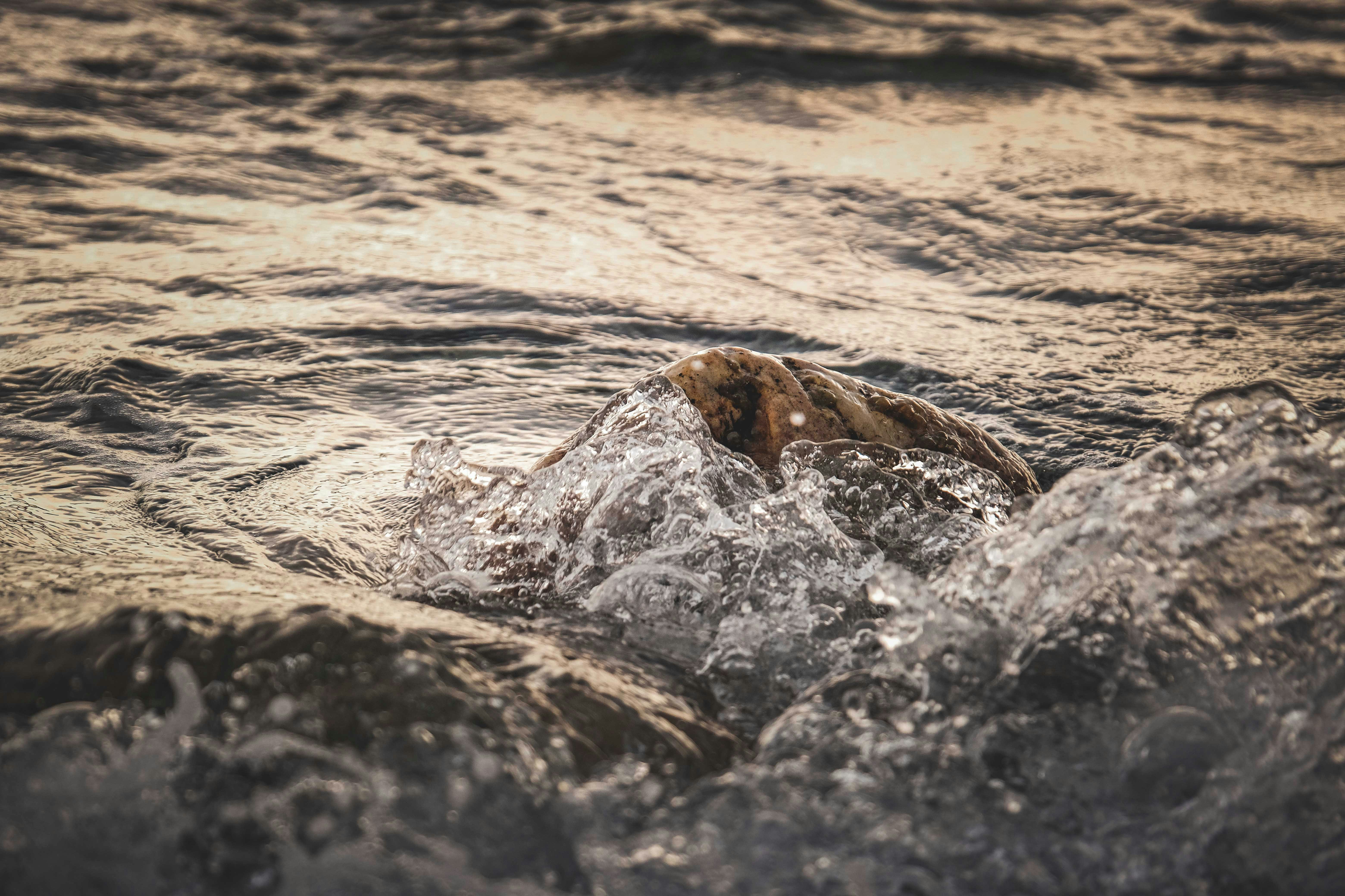 Photo by francesco_ungaro