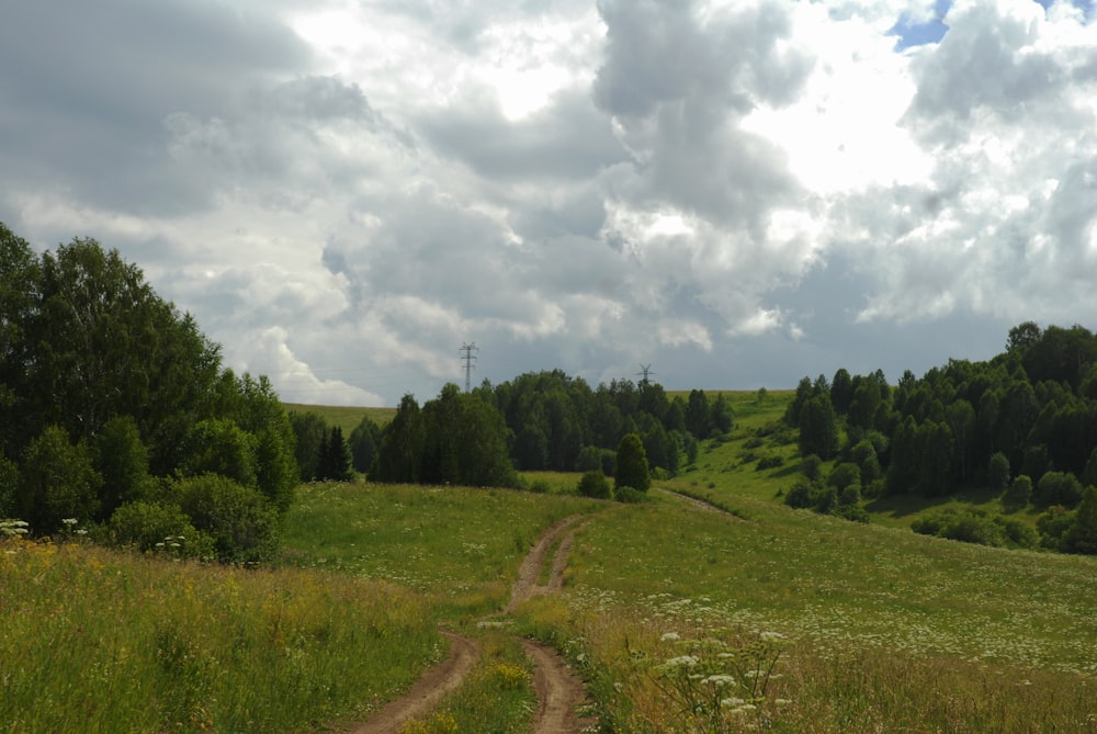 a dirt road going through a lush green field