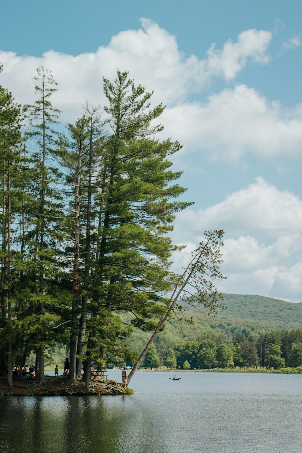 a group of people standing on a small island in the middle of a lake