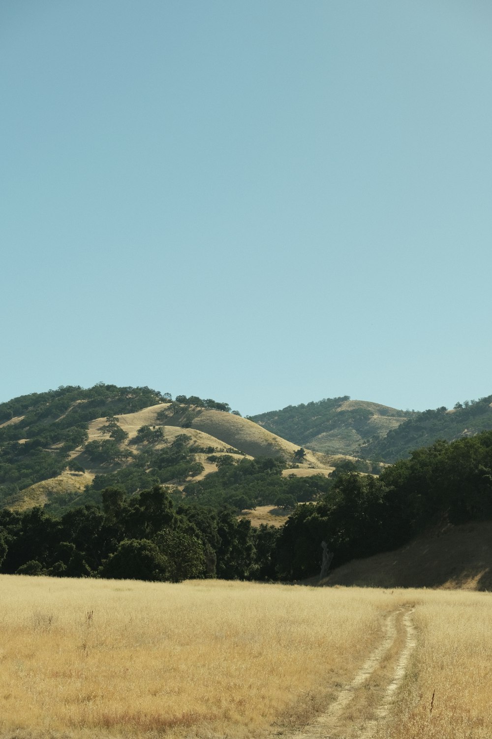 a large field with a dirt road in the middle of it