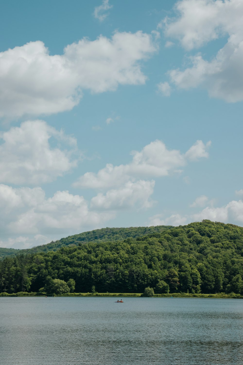 a large body of water surrounded by trees