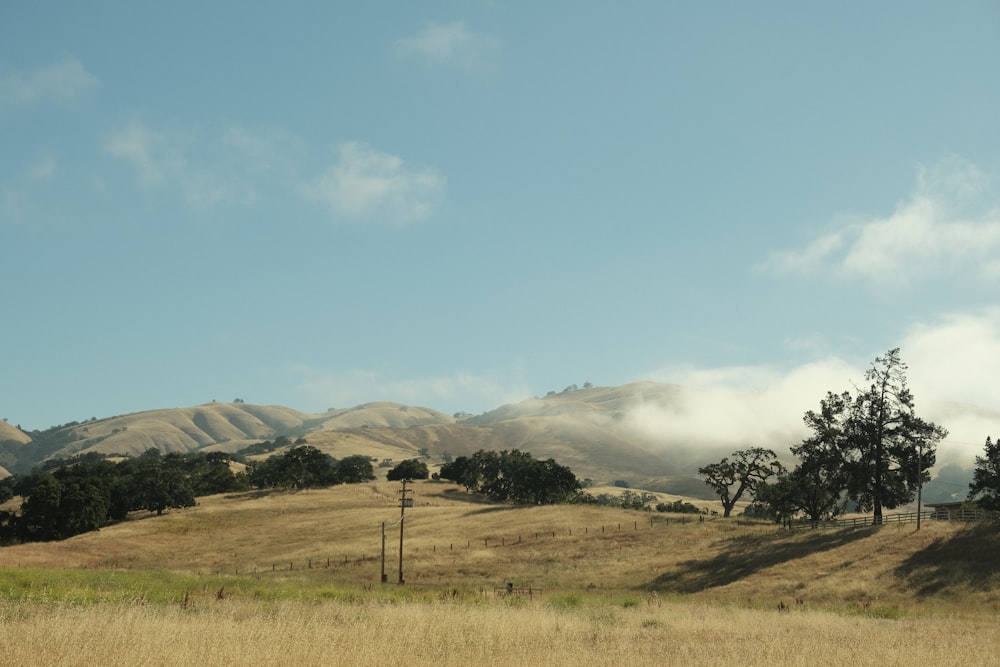 a grassy field with trees and mountains in the background