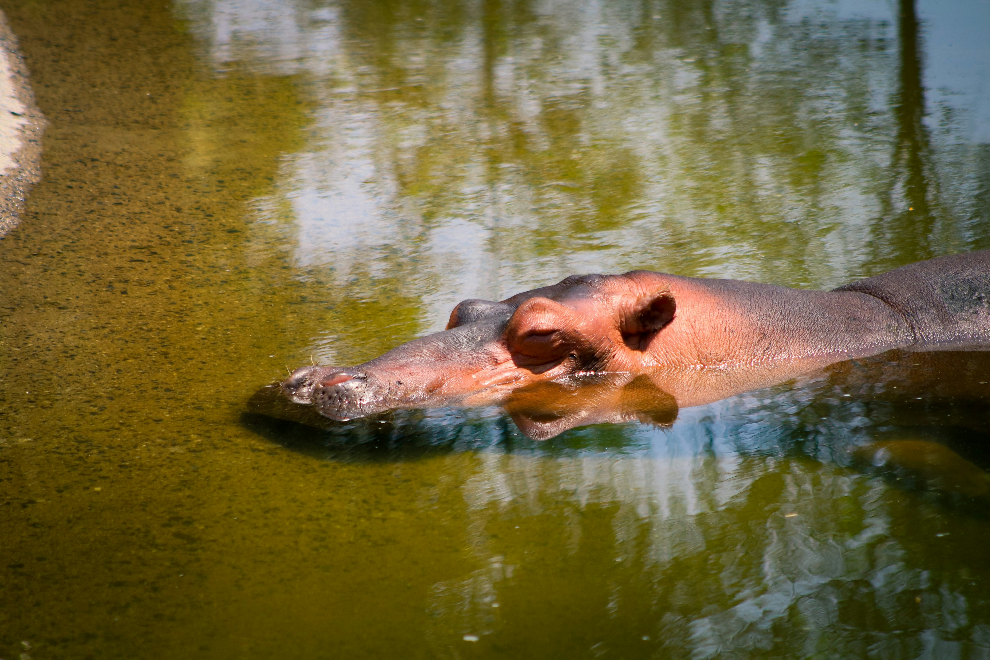 Photo by arthur_percival